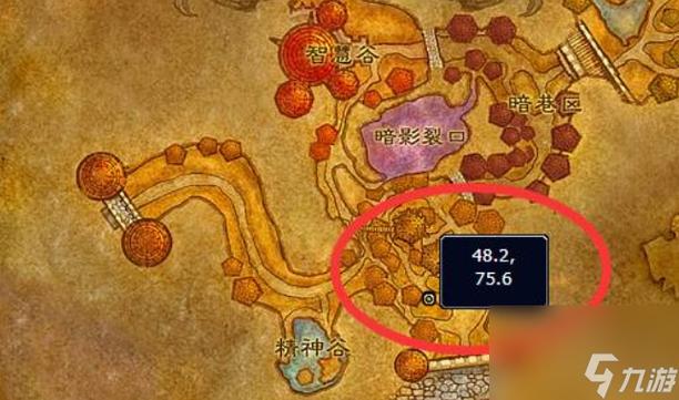 魔兽世界联盟战袍在哪买