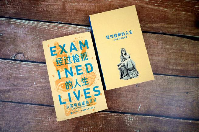 经过检视的人生epub下载截图