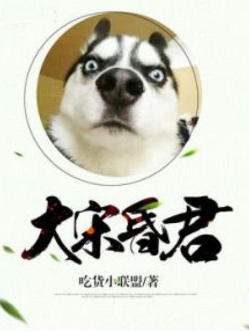 大宋昏君系统