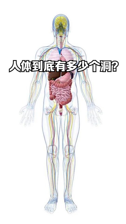 男人后面有几个孔