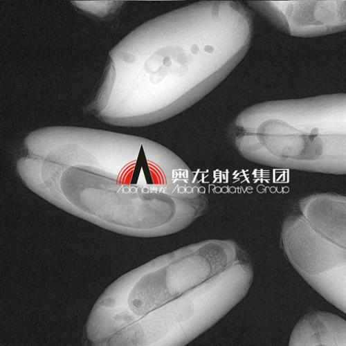 动物X光机