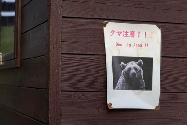 日本环境省提醒警惕熊出没