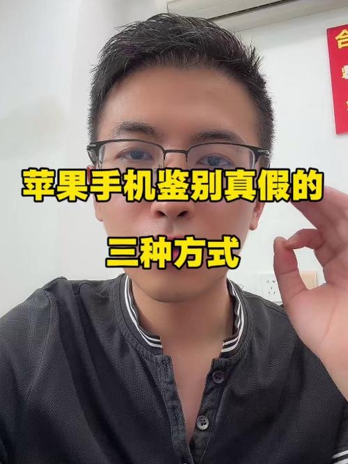 苹果手机怎样查真假鉴别