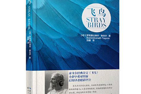 飞鸟文学