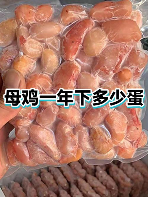 一只鸡一年能下多少蛋缩略图