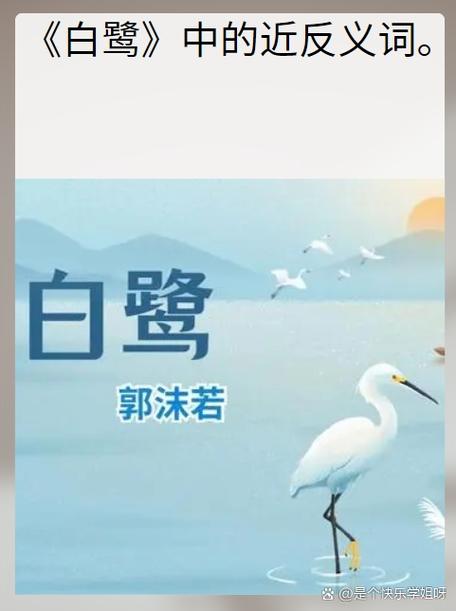 白鹭拼音版