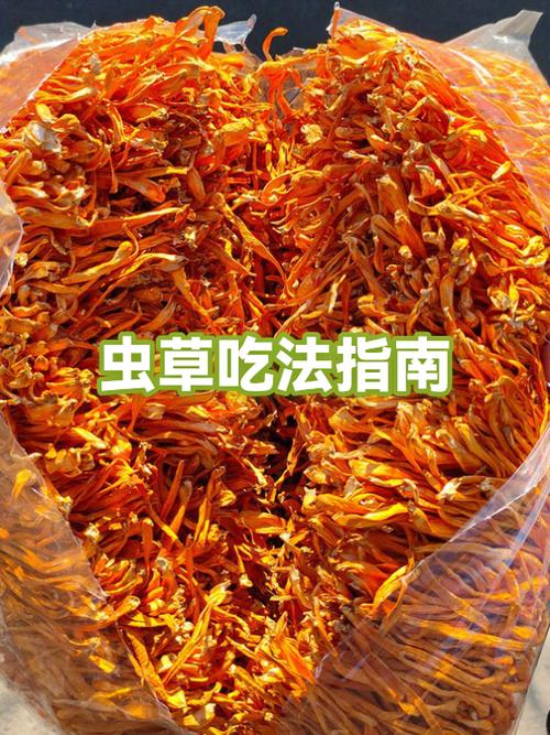 虫草菌粉cs-4正确吃法
