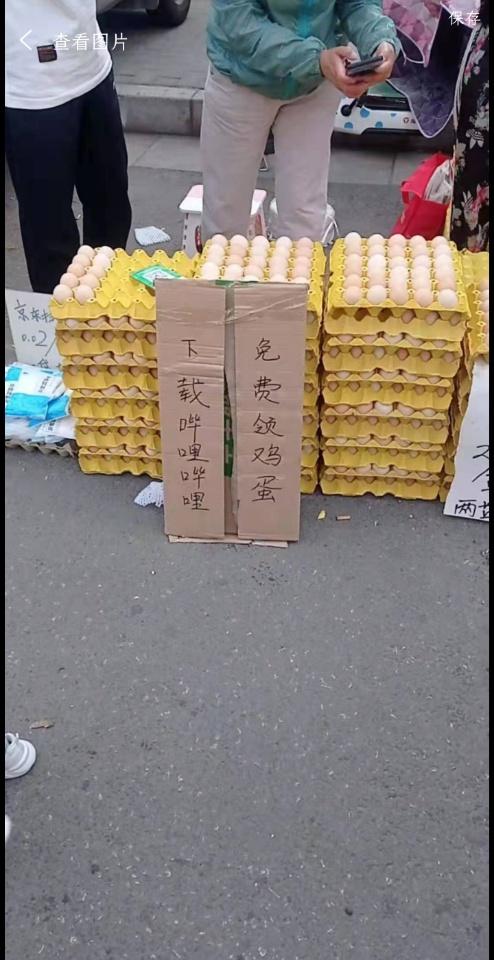 天天领鸡蛋下载