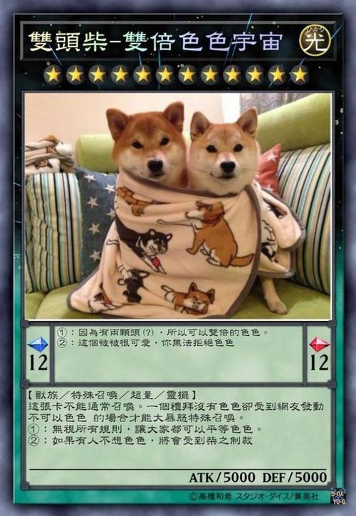 柴犬最贵三个颜色缩略图
