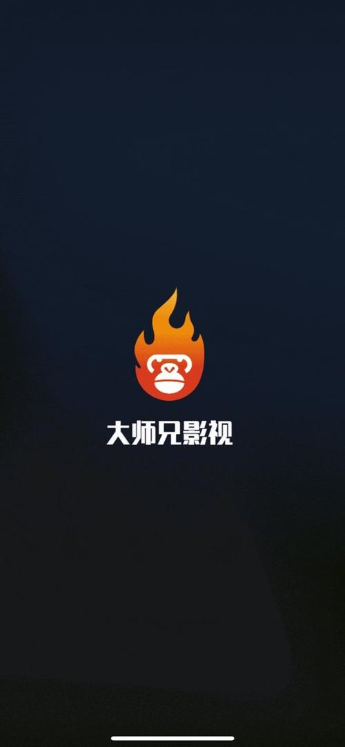 大师兄影视手机版