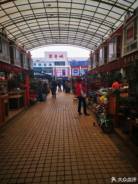 花鸟市场 上海图标