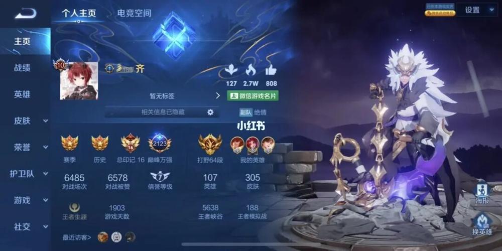 王者百星截图