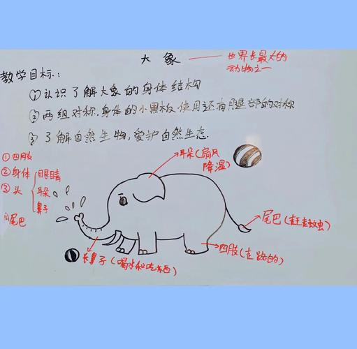 环世界大象在什么地形截图
