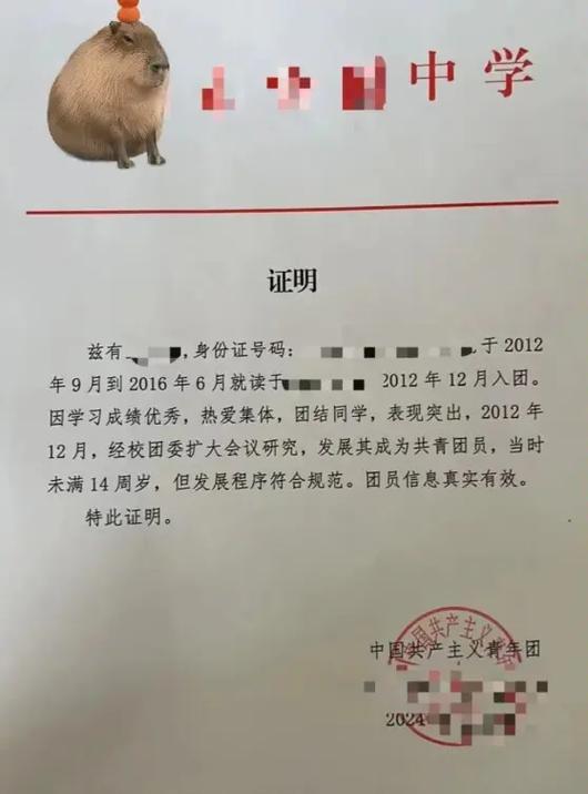 档案认定不以入团为准了吗