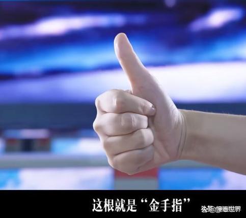 金手指指什么意思截图