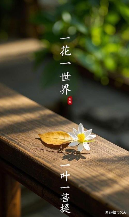 经典佛语人生感悟缩略图