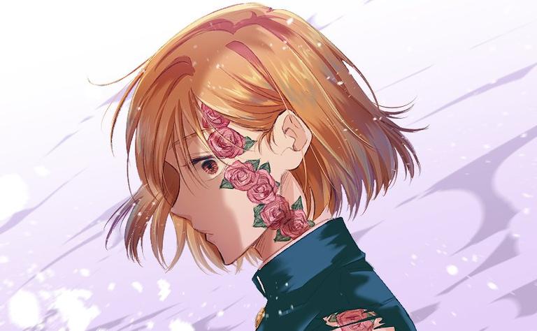蔷薇漫画是什么意思截图