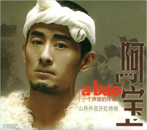 阿宝的全部歌曲截图