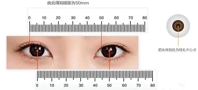 瞳距正常范围截图
