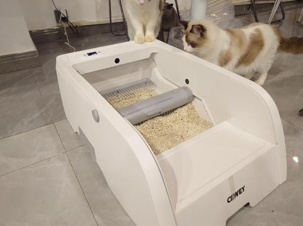 猫砂盆移动位置猫会找不到吗