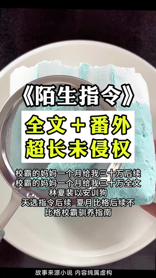 收到陌生人的指令小说