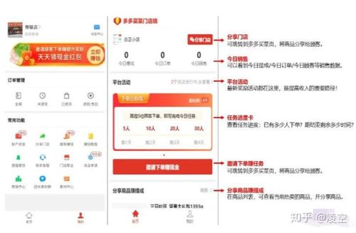 多多团长端
