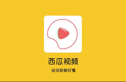 西瓜视频播放量只有几百游戏截图
