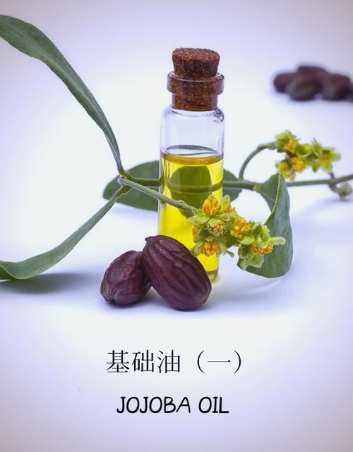 精油的功效与作用图标