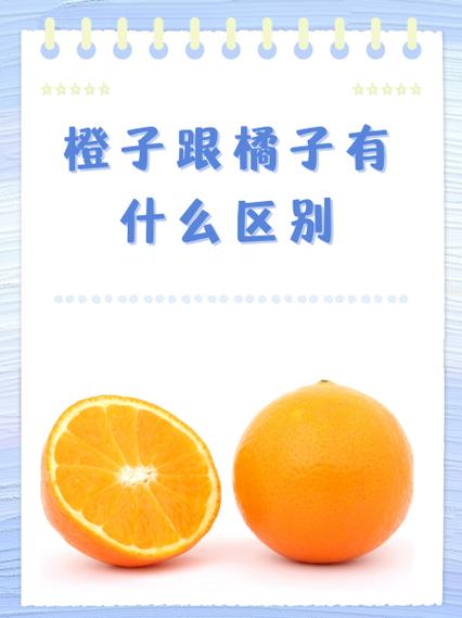 作者:橘子爱吃橙子