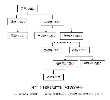 动物能量的主要来源缩略图