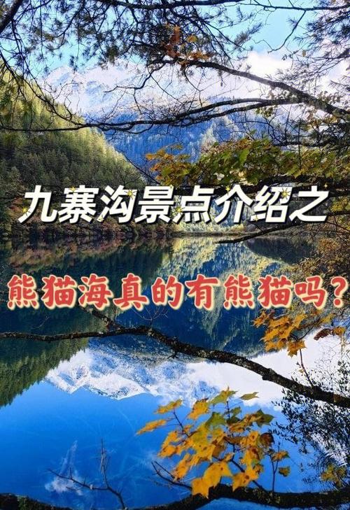 大熊猫名字的由来