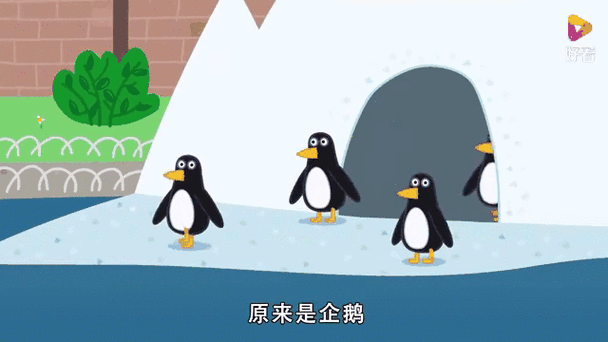 企鹅百宝箱图标
