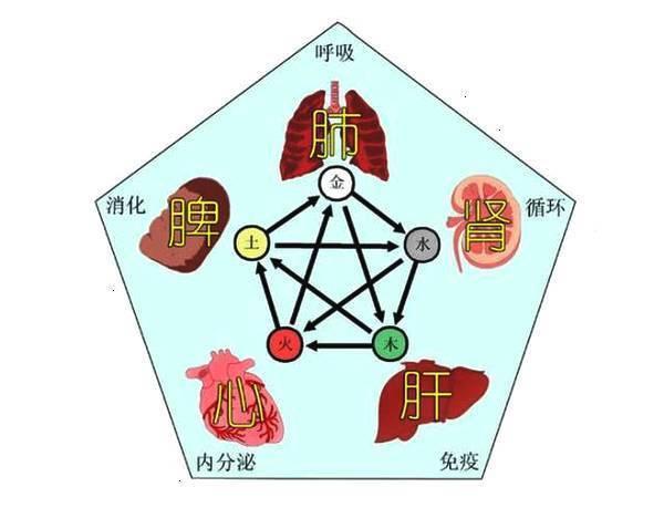 5脏图标