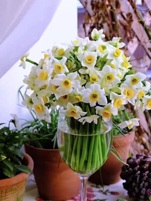 水仙花长什么样子