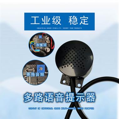 语音播放喇叭