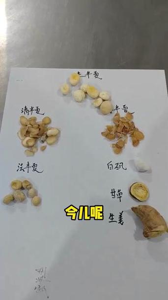 半夏一般是指法半夏还是姜半夏
