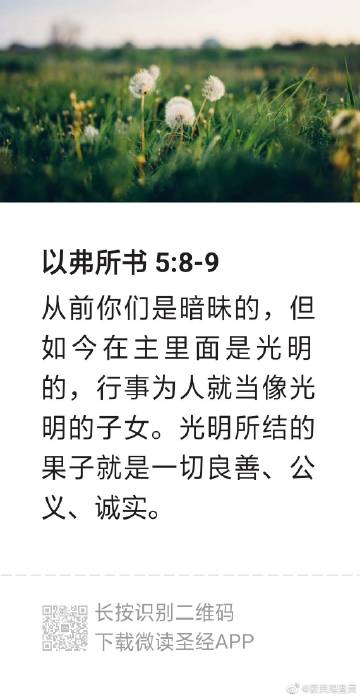 信心讲章精选20篇