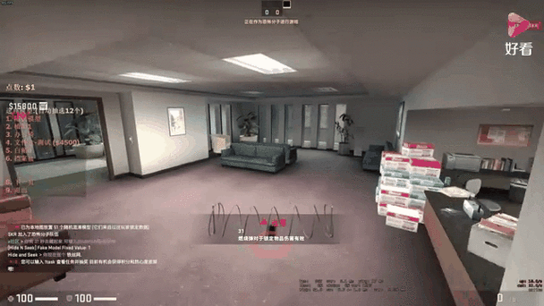 csgo躲猫猫在哪里截图