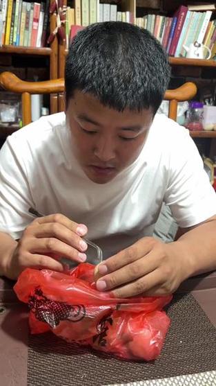 猜猜我手里是什么