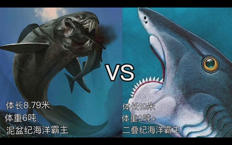 邓氏鱼vs巨齿鲨视频游戏截图