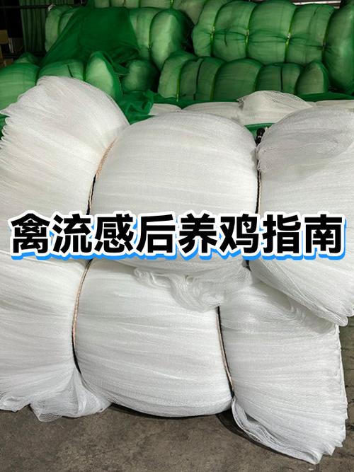 发禽的意思截图