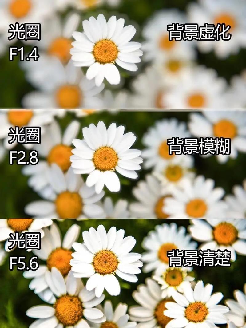 苹果手机桌面虚化只有搜索截图