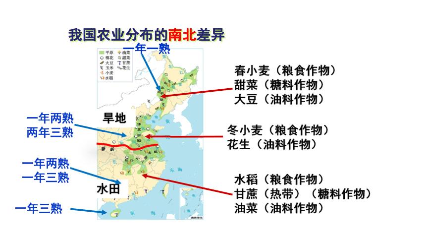 农田中农作物的分布属于什么类型