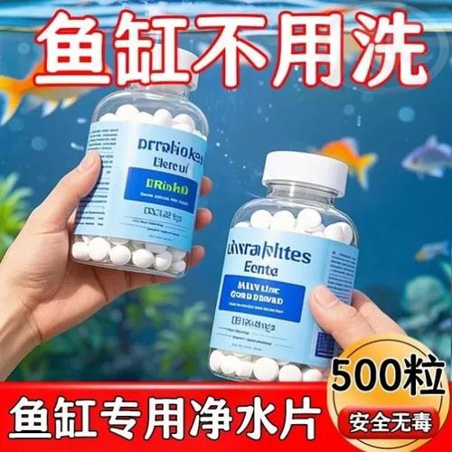 鱼缸鱼腥味怎么去除最快最有效