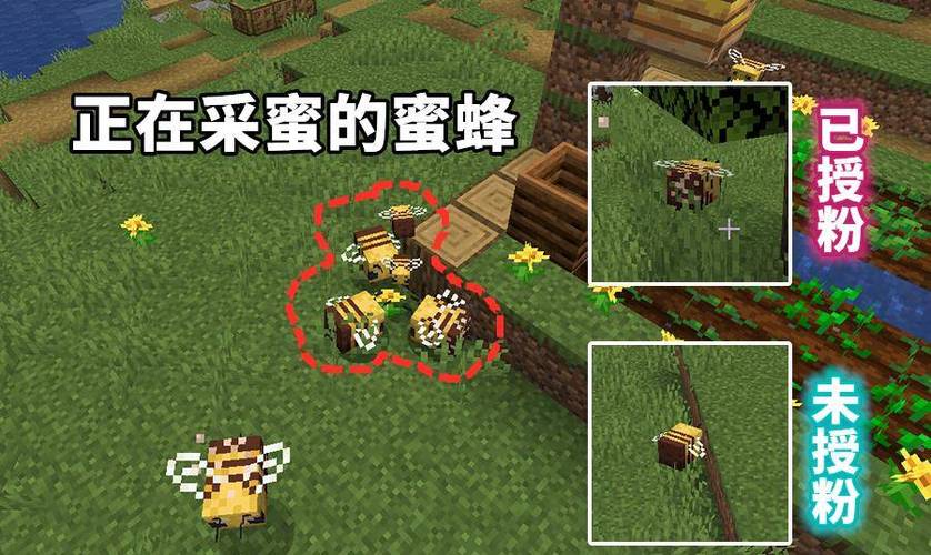 我的世界小蜜蜂模组