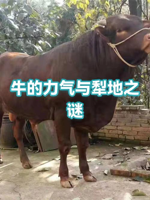 我的世界为什么耕地下面有水还会干