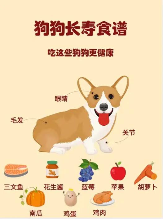 土狗的喂养方法