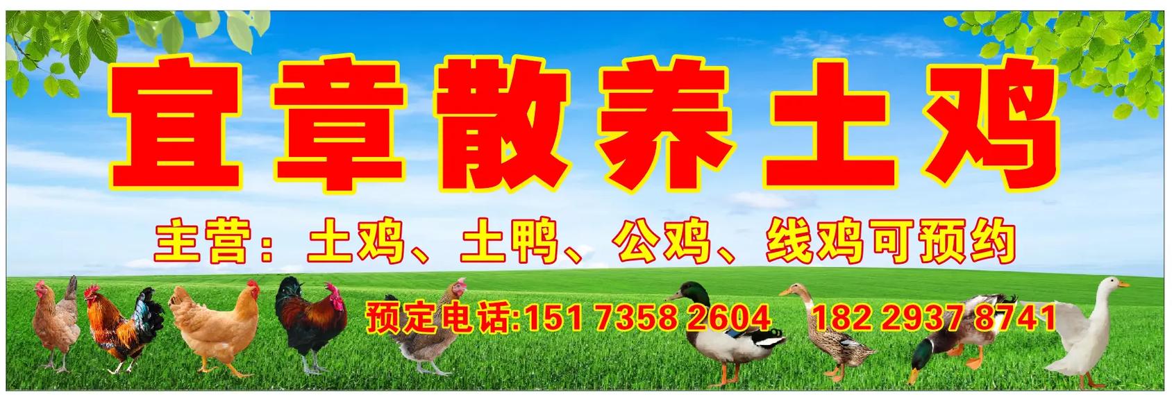搞养殖怎么打广告
