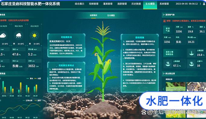 玉米软件图标