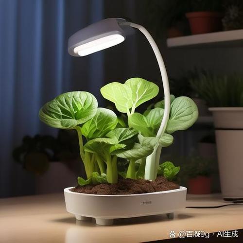 植物补光灯白光好还是红光好
